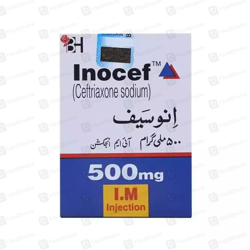 Inj Inocef IM 500mg